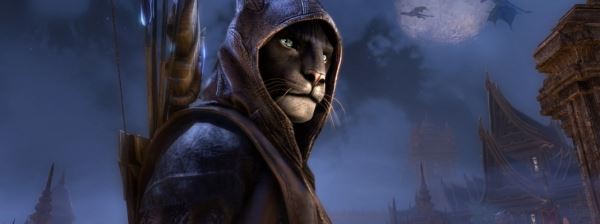  The Elder Scrolls Online будет развиваться и после 2020 года 